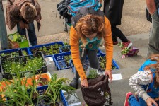 Květinový pop up na Nuselských schodech