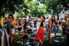 Srpnový blešák na Heřmaňáku