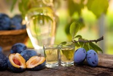 Mezinárodní víkend slivovice