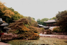 Skutečný přítel České Republiky, Korejská republika