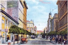 Z TAJNOSTÍ ŽIŽKOVSKÉHO PODSVĚTÍ